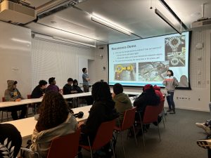 Students watch a presentation on resonances.